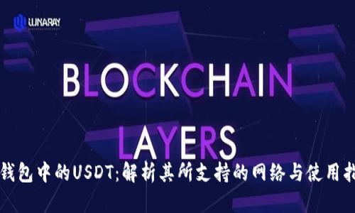 TP钱包中的USDT：解析其所支持的网络与使用指南