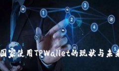 中东国家使用TPWallet的现状与未来展望