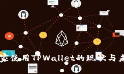 中东国家使用TPWallet的现状与未来展望