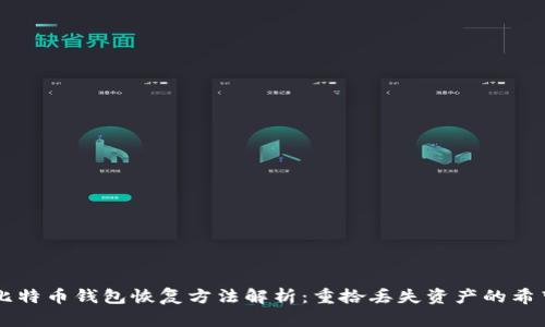 比特币钱包恢复方法解析：重拾丢失资产的希望