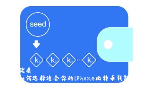 优质
如何选择适合你的iPhone比特币钱包？