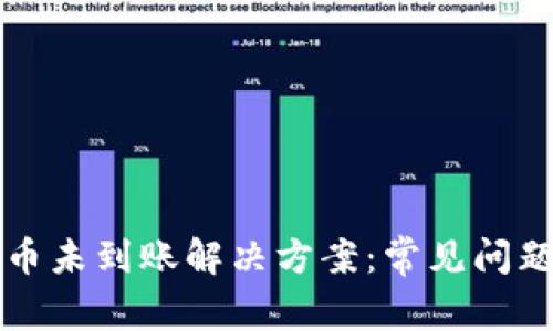 tpwallet买币未到账解决方案：常见问题与处理方法