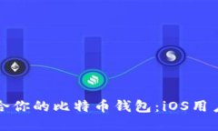 如何选择适合你的比特币钱包：iOS用户的终极指