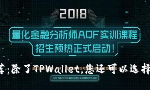 十大安全钱包推荐：除了TPWallet，您还可以选择哪些安全的钱包？