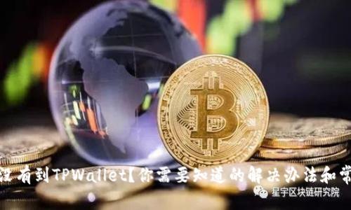 : 空投没有到TPWallet？你需要知道的解决办法和常见问题