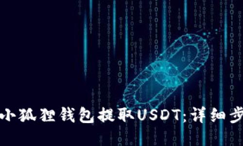 如何使用小狐狸钱包提取USDT：详细步骤与技巧