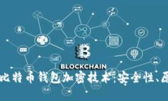 深入探讨比特币钱包加密技术：安全性、原理与