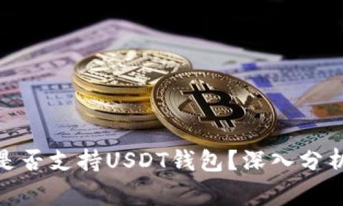 哈萨克斯坦是否支持USDT钱包？深入分析与常见问答