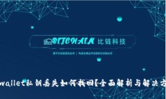 tpwallet私钥丢失如何找回？全面解析与解决方案