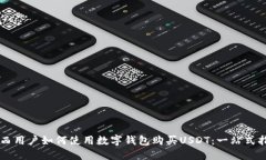 巴西用户如何使用数字钱包购买USDT：一站式指南