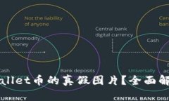 如何判断TPWallet币的真假图片？全面解析与实用技