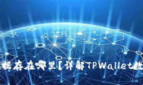 TPWallet数据存在哪里？详解TPWallet数据存储机制