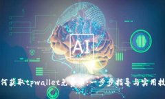 如何获取tpwallet免费币：一步步指导与实用技巧