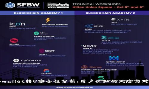 tpwallet转U安全性分析：用户必知的风险与对策