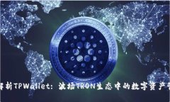 : 全面解析TPWallet: 波场TRON生态中的数字资产管理