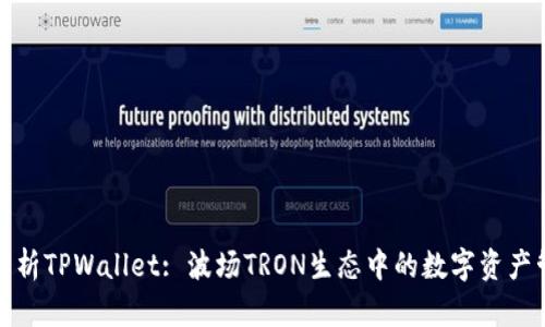 : 全面解析TPWallet: 波场TRON生态中的数字资产管理利器