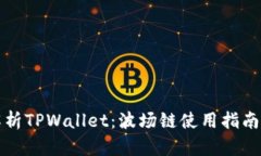 全面解析TPWallet：波场链使用指南与技巧