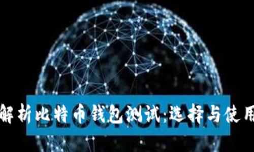 全面解析比特币钱包测试：选择与使用指南