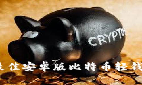全面解析：最佳安卓版比特币轻钱包使用指南