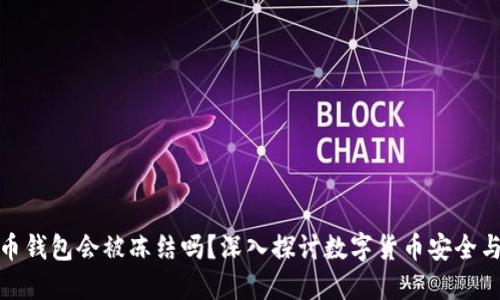 比特币钱包会被冻结吗?深入探讨数字货币安全与风险