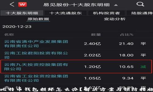 
比特币钱包损坏怎么办？解决方案与预防措施