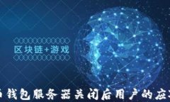 比特币钱包服务器关闭后用户的应对策略