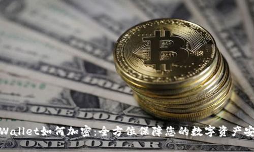 TPWallet如何加密:全方位保障您的数字资产安全