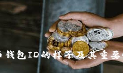 比特币钱包ID的样子及其重要性解析