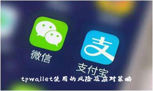 tpwallet使用的风险及应对策略