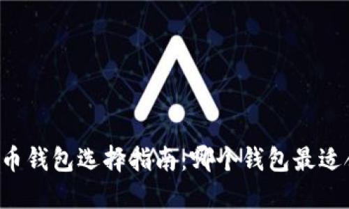 虚拟币钱包选择指南:哪个钱包最适合你?