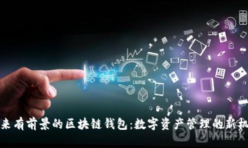 未来有前景的区块链钱包:数字资产管理的新机遇