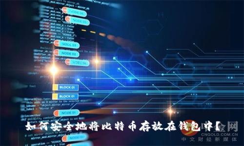 如何安全地将比特币存放在钱包中?
