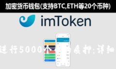 如何在TP Wallet中进行5000个币的质押：详细指南与