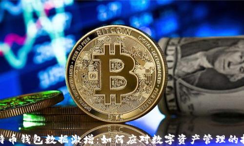 比特币钱包数据激增:如何应对数字资产管理的挑战