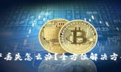 TPWallet资产丢失怎么办？全方位解决方案与预防措