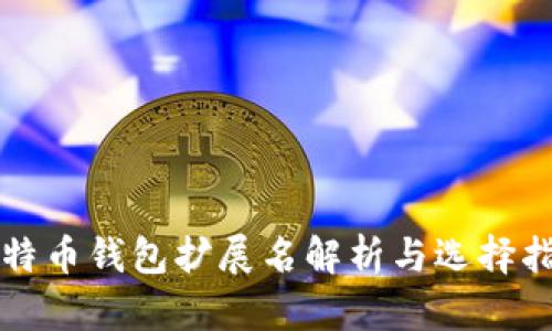 比特币钱包扩展名解析与选择指南