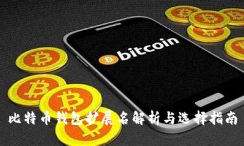比特币钱包扩展名解析与选择指南