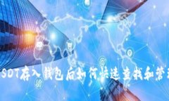 USDT存入钱包后如何快速查找和管理