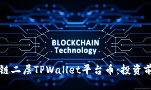 ### 

深入解析以太链二层TPWallet平台币：投资前景与技术解析