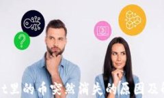 TPWallet里的币突然消失的原因及解决方法