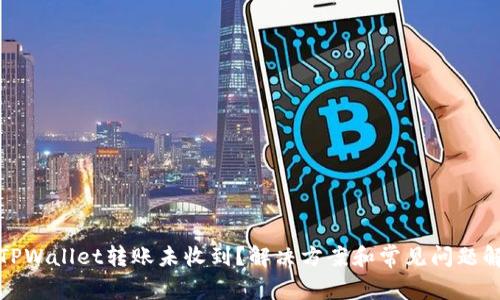 : TPWallet转账未收到？解决方案和常见问题解析