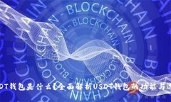 USDT钱包是什么？全面解析USDT钱包的功能与选择