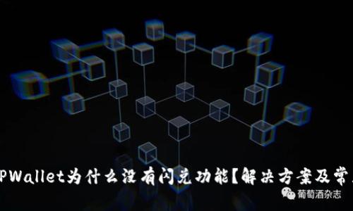 刚注册的TPWallet为什么没有闪兑功能？解决方案及常见问题分析
