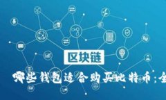 daihao  哪些钱包适合购买比特币：全面指南
