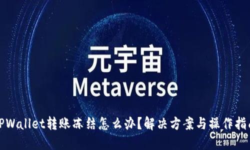 TPWallet转账冻结怎么办?解决方案与操作指南