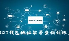 ## USDT钱包地址能否查询到账户信息？