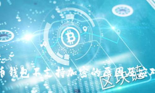 ###
比特币钱包不支持加密的原因及应对措施