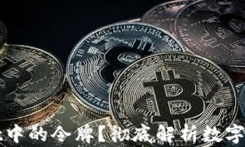 
什么是TPWallet中的令牌？彻底解析数字资产的核心概念