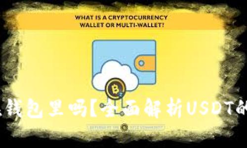 USDT可以放在钱包里吗？全面解析USDT的钱包存储方式