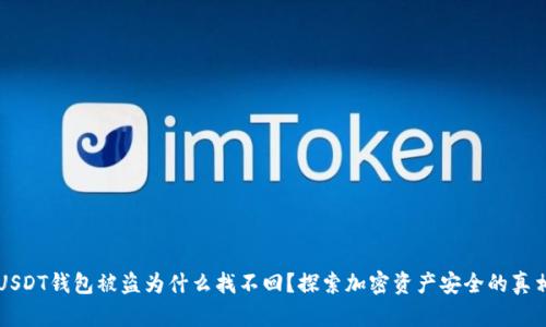 USDT钱包被盗为什么找不回？探索加密资产安全的真相